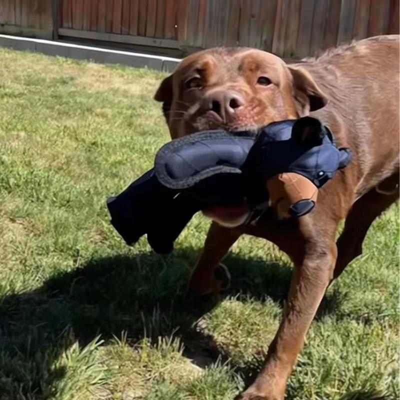 BearBuddy Tough chew toy; Built for heavy chewers high resistant