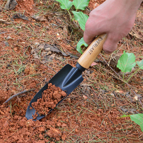 Gardening Tool Shovel