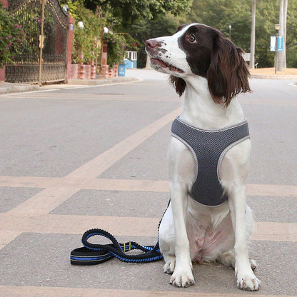 Dog Harness Vest