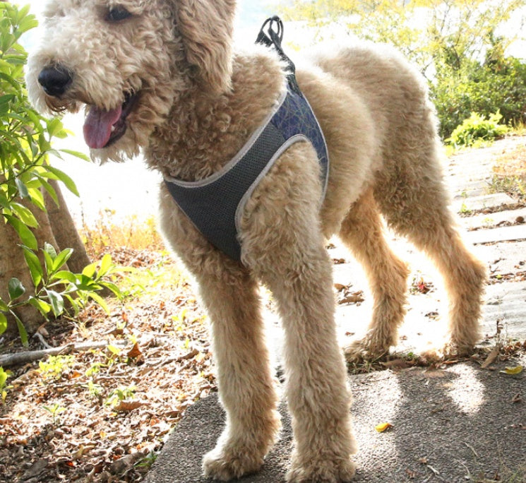 Dog Harness Vest